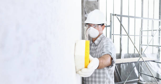 Best Emergency Mold Remediation  in Childersburg, AL